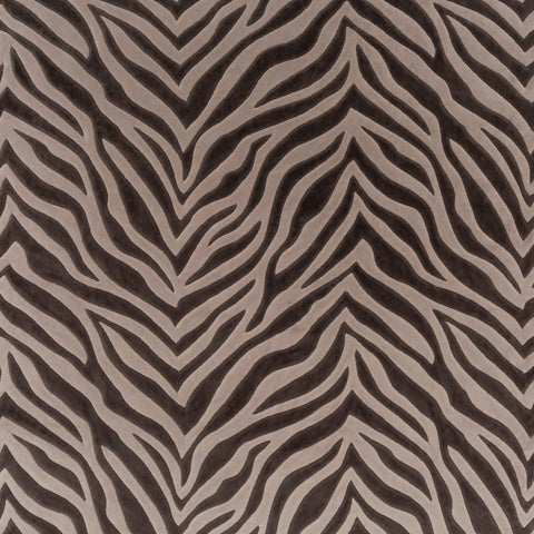 Chivasso Wild Shape Colour 3