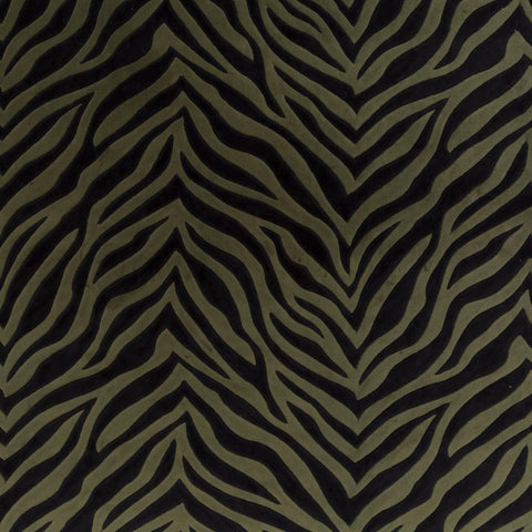 Chivasso Wild Shape Colour 7