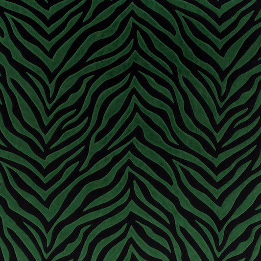 Chivasso Wild Shape Colour 8