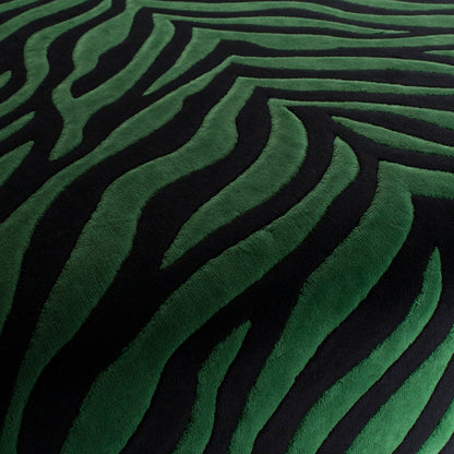 Chivasso Wild Shape Colour 8