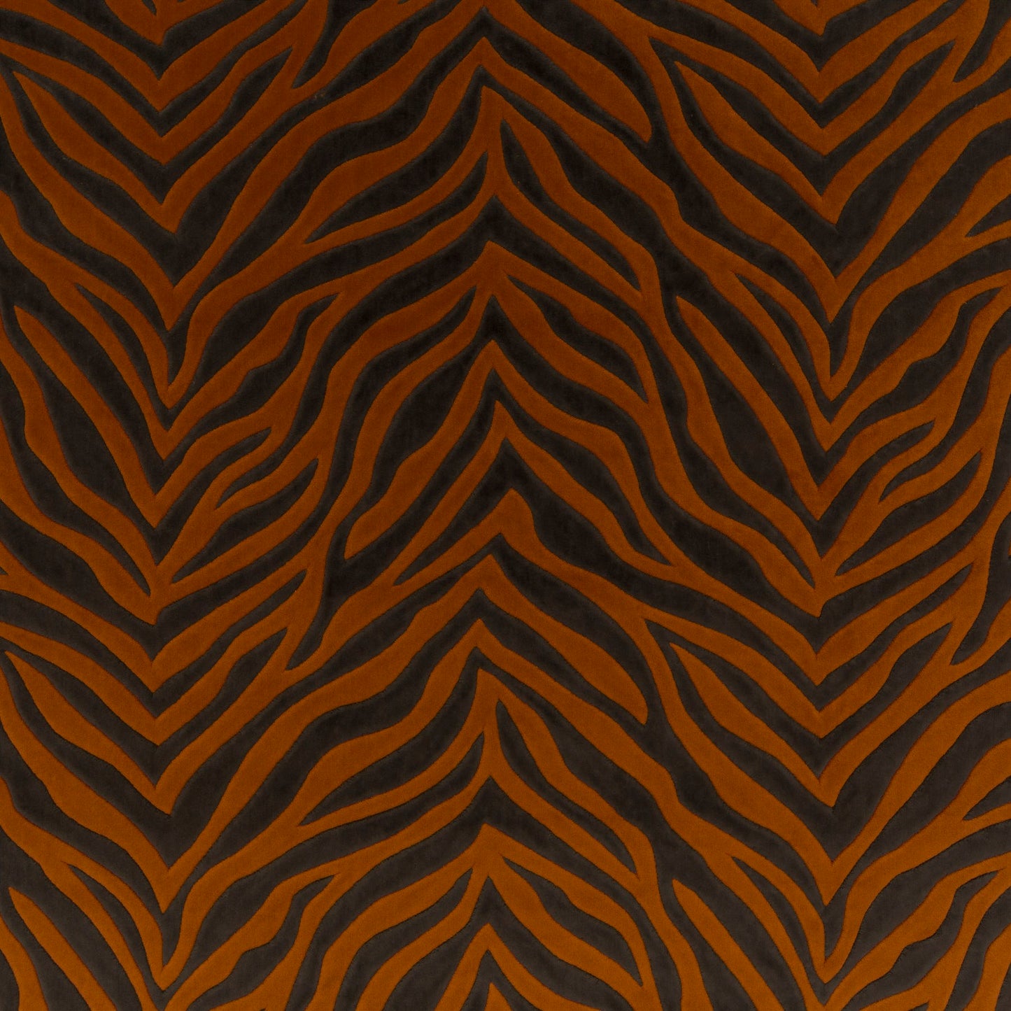 Chivasso Wild Shape Colour 10