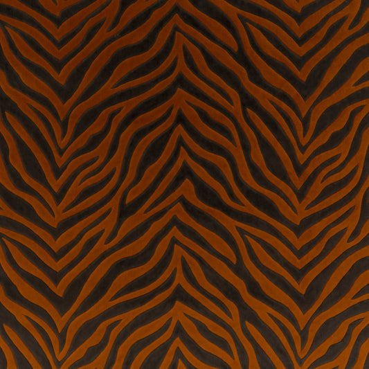 Chivasso Wild Shape Colour 10