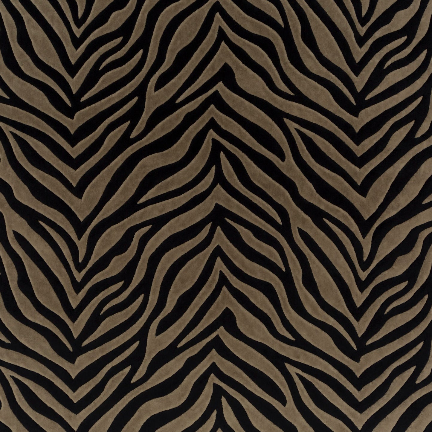 Chivasso Wild Shape Colour 5