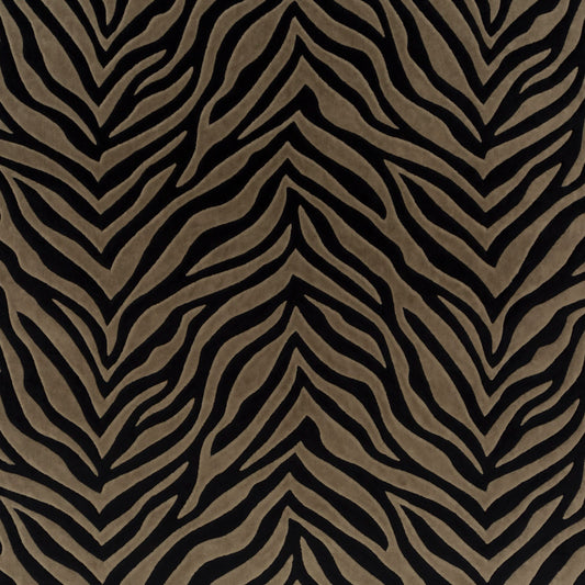 Chivasso Wild Shape Colour 5