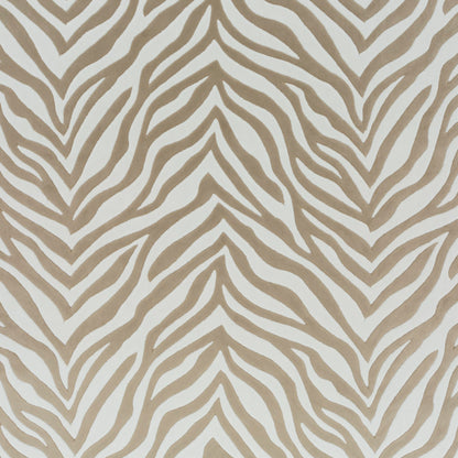 Chivasso Wild Shape Colour 1