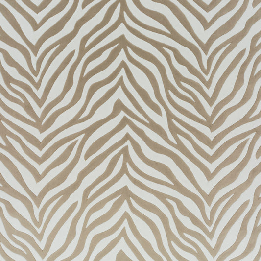 Chivasso Wild Shape Colour 1