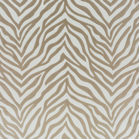 Chivasso Wild Shape Colour 1