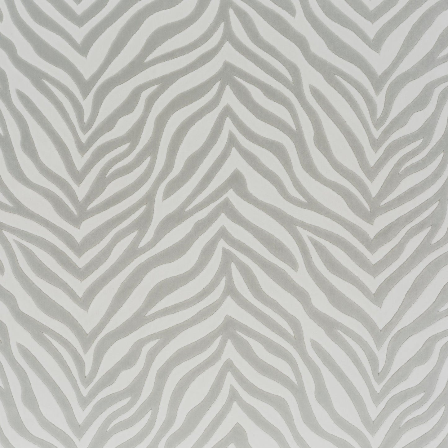 Chivasso Wild Shape Colour 2