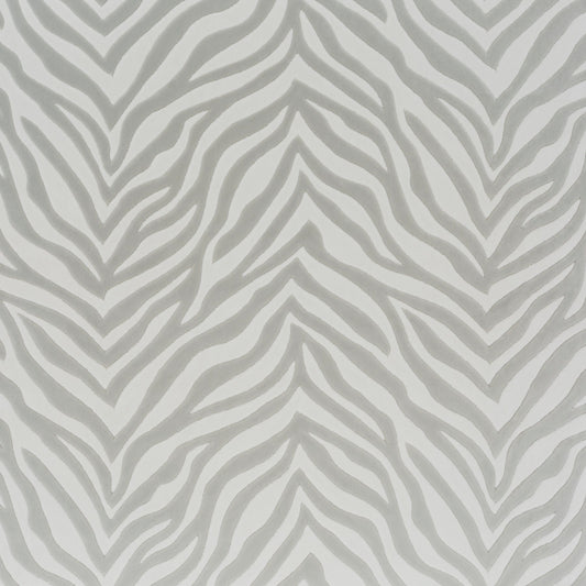 Chivasso Wild Shape Colour 2