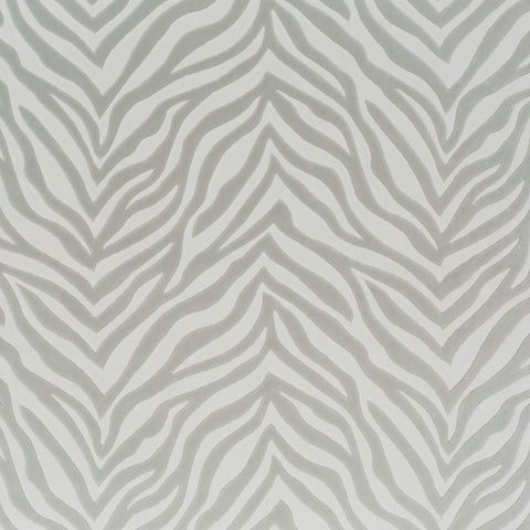 Chivasso Wild Shape Colour 2