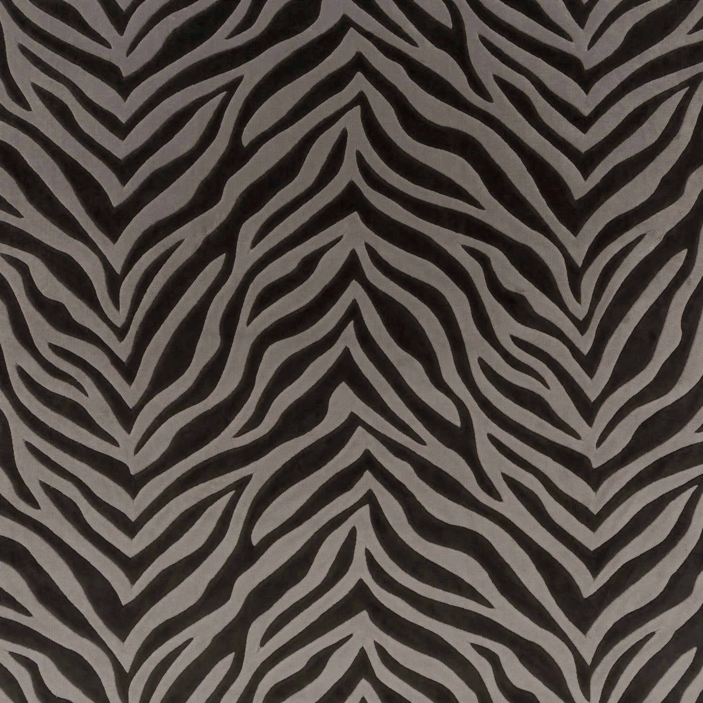 Chivasso Wild Shape Colour 4