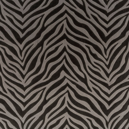 Chivasso Wild Shape Colour 4