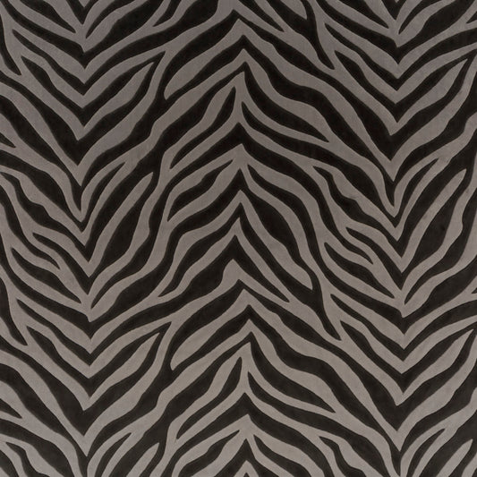 Chivasso Wild Shape Colour 4