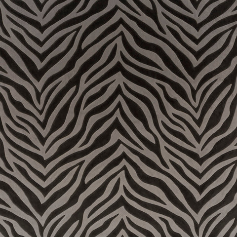 Chivasso Wild Shape Colour 4