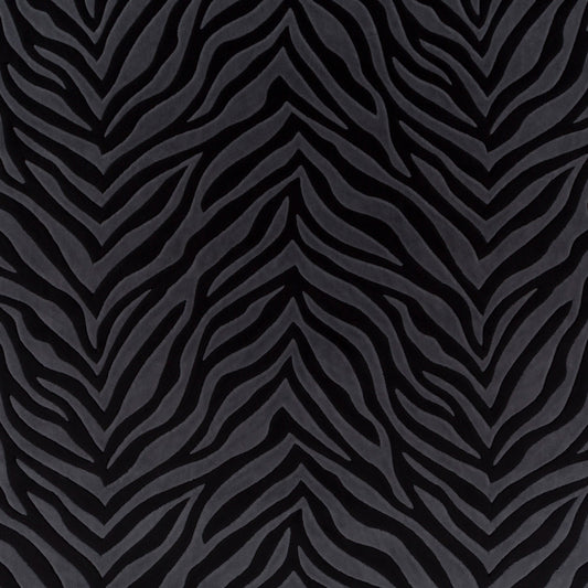 Chivasso Wild Shape Colour 11