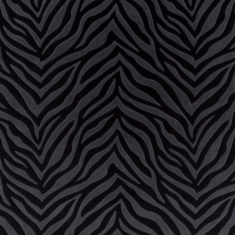 Chivasso Wild Shape Colour 11