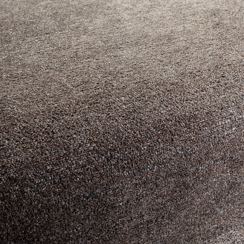 Chivasso Soul Companion Colour 19