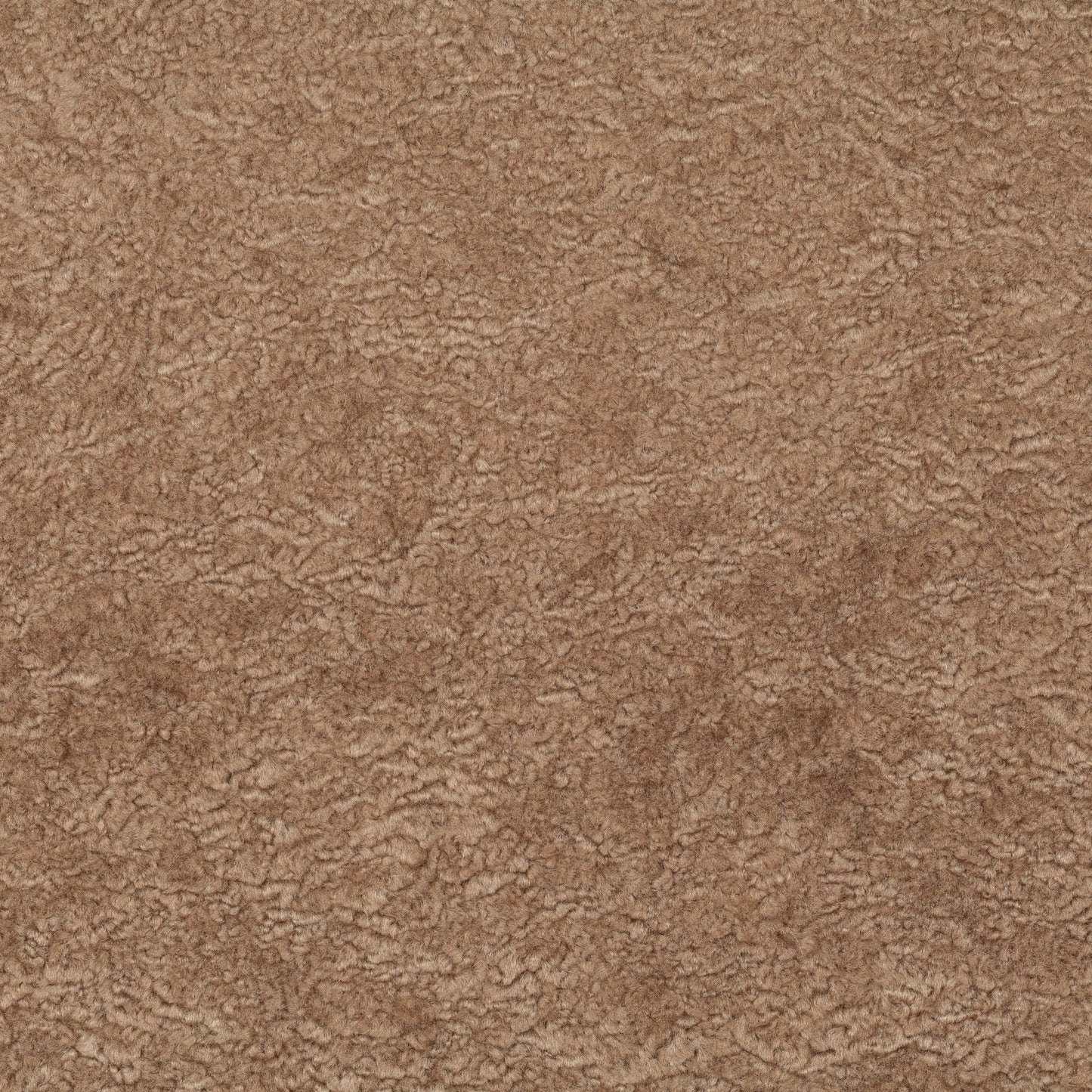 Chivasso Wild & Pure Colour 16