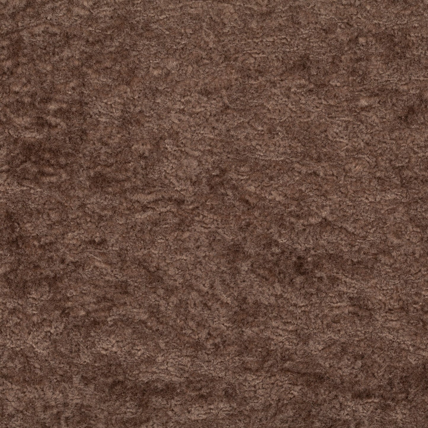 Chivasso Wild & Pure Colour 17