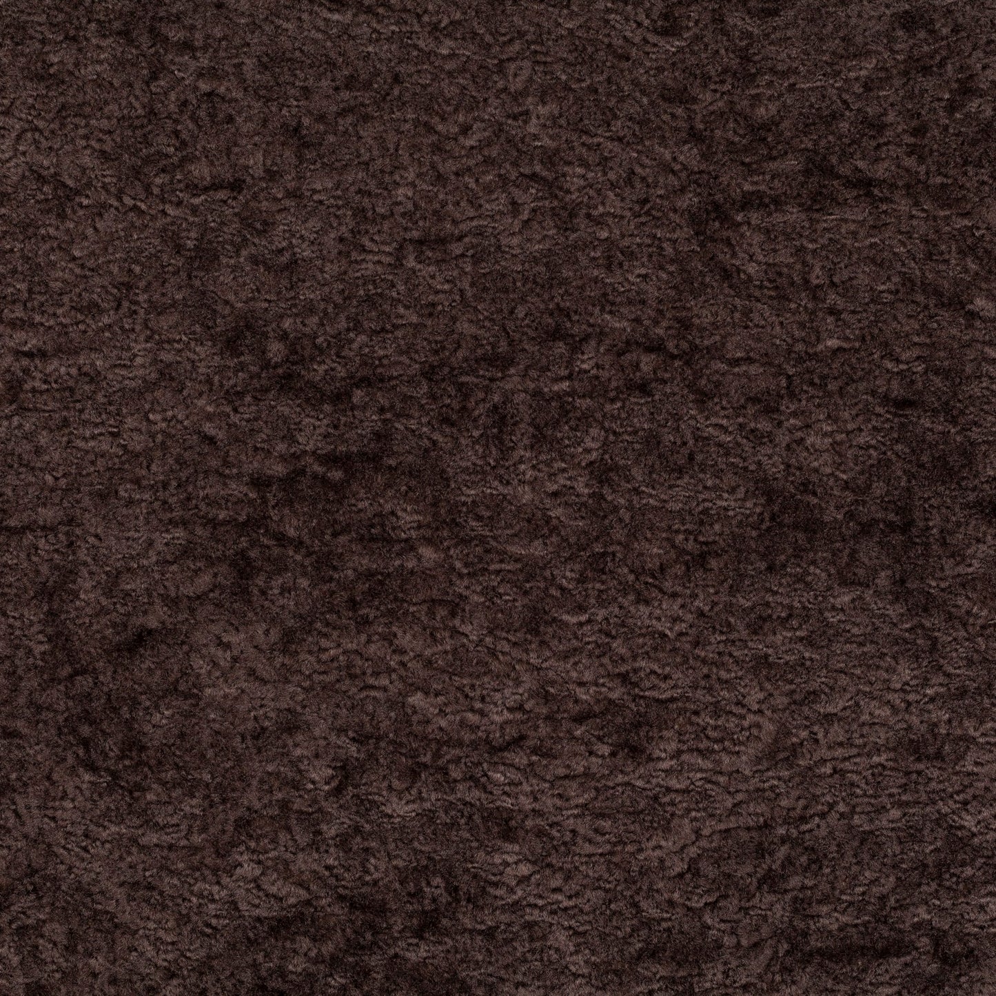 Chivasso Wild & Pure Colour 18