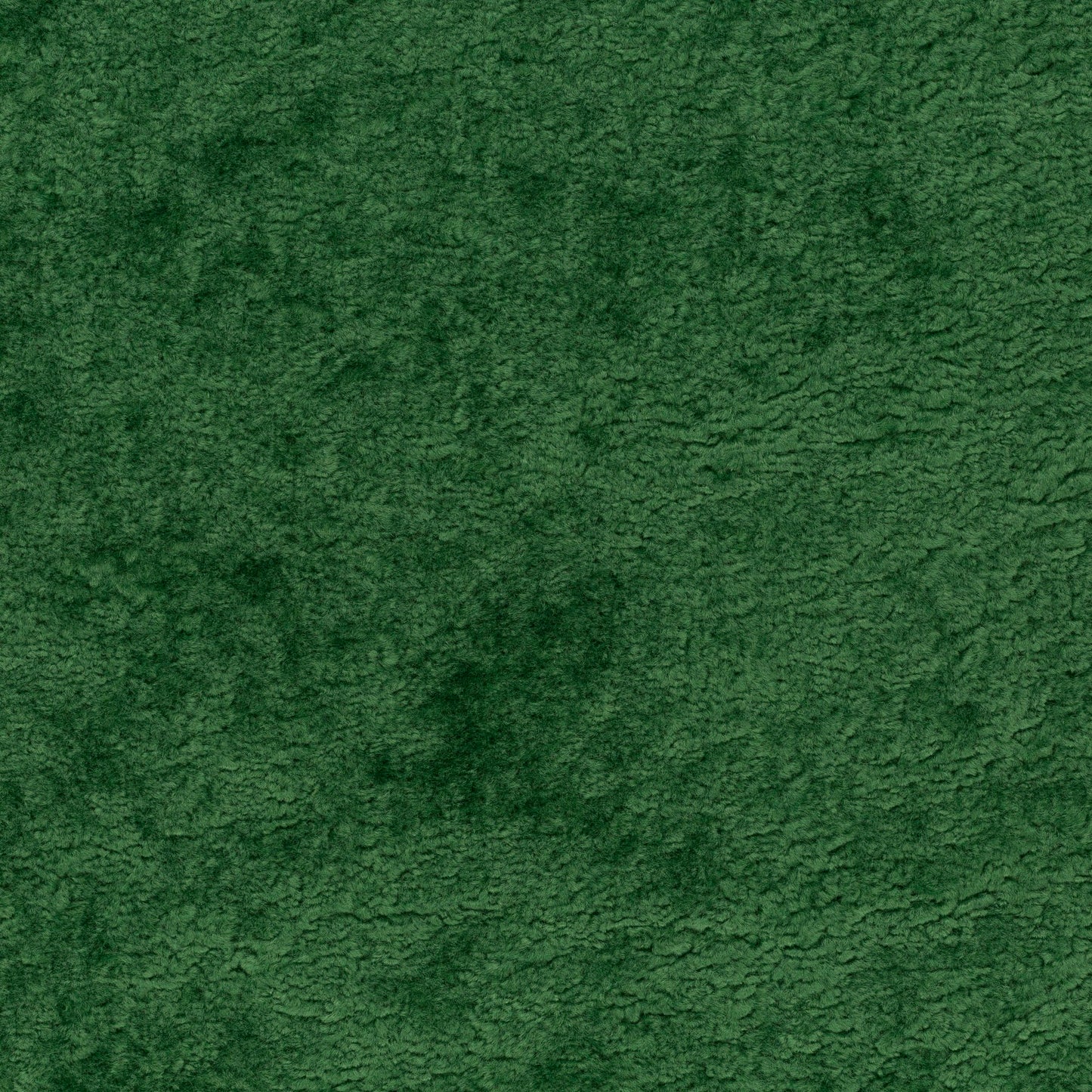 Chivasso Wild & Pure Colour 6