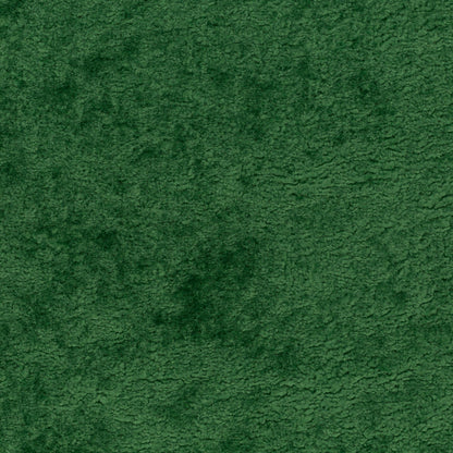 Chivasso Wild & Pure Colour 6