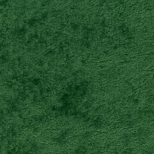 Chivasso Wild & Pure Colour 6