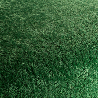 Chivasso Wild & Pure Colour 6