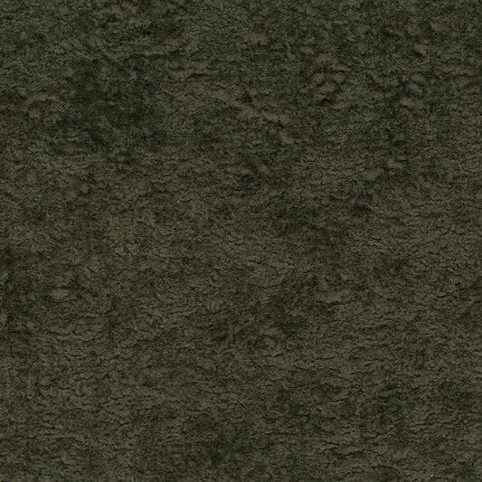 Chivasso Wild & Pure Colour 7