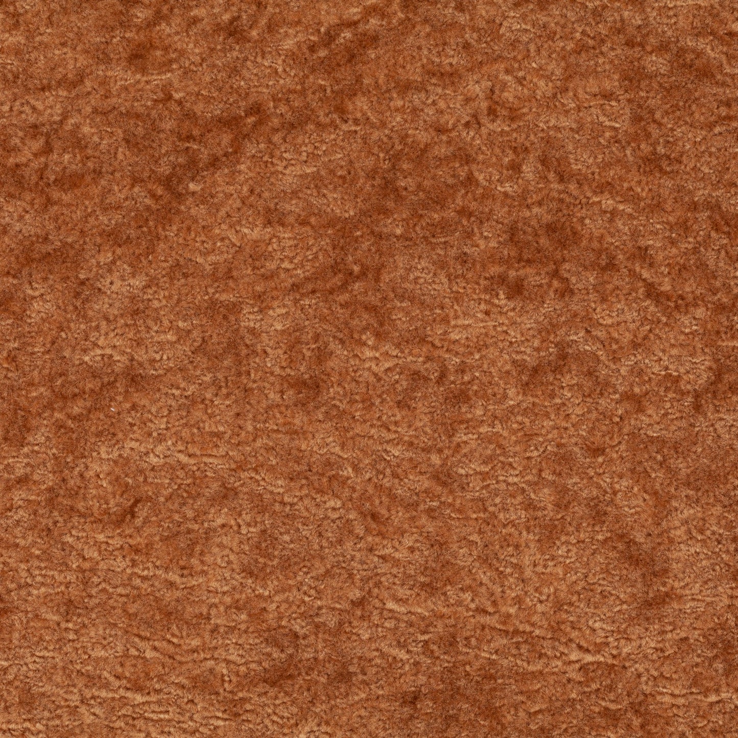 Chivasso Wild & Pure Colour 14