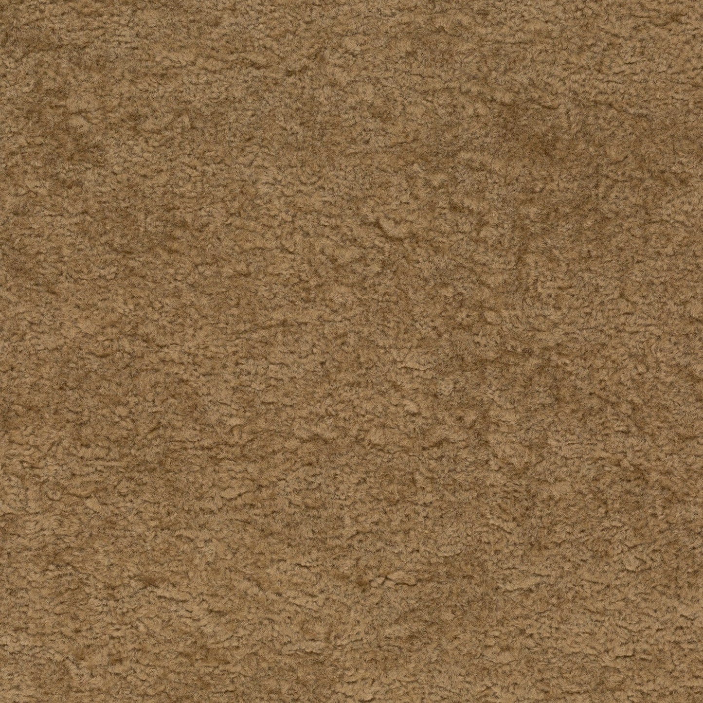 Chivasso Wild & Pure Colour 5