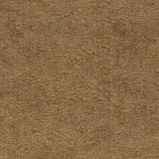 Chivasso Wild & Pure Colour 5