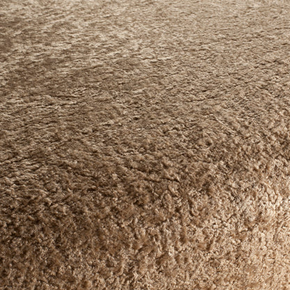 Chivasso Wild & Pure Colour 5