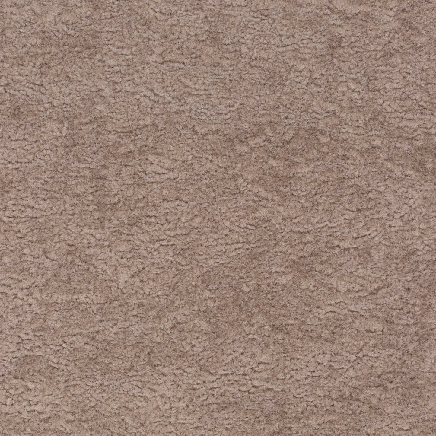 Chivasso Wild & Pure Colour 4