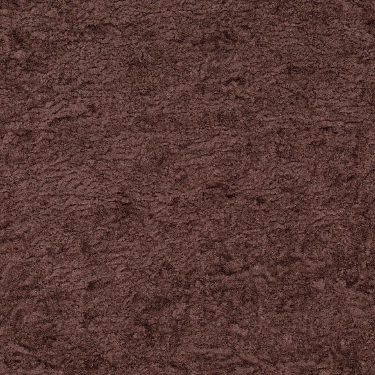 Chivasso Wild & Pure Colour 12