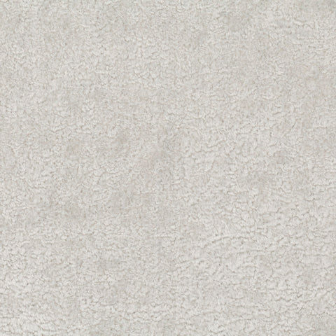 Chivasso Wild & Pure Colour 21