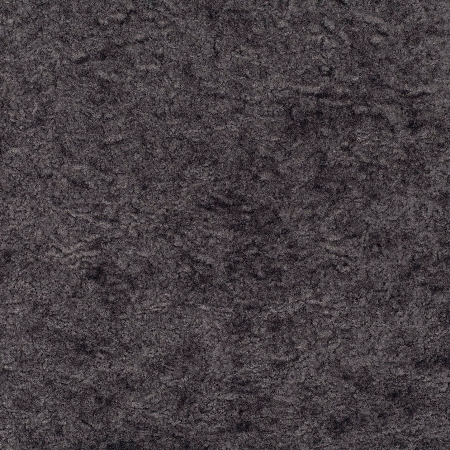 Chivasso Wild & Pure Colour 25