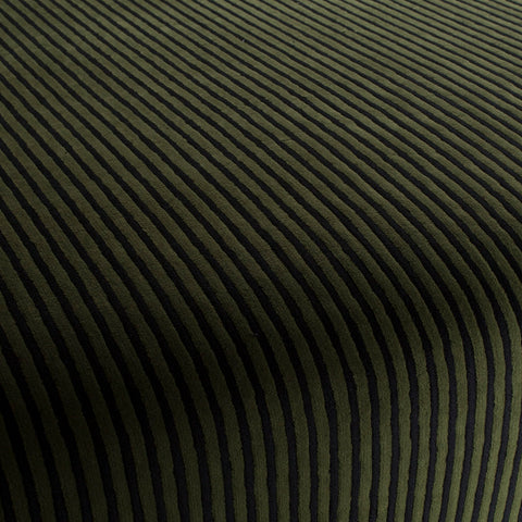 Chivasso Days Of Wild Colour 6