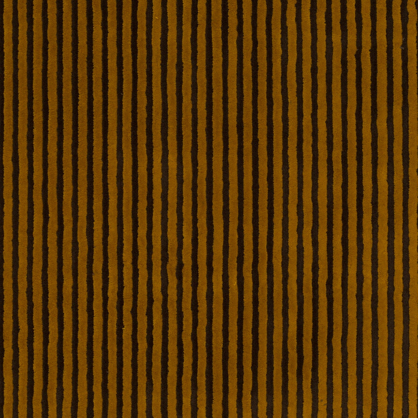 Chivasso Days Of Wild Colour 11