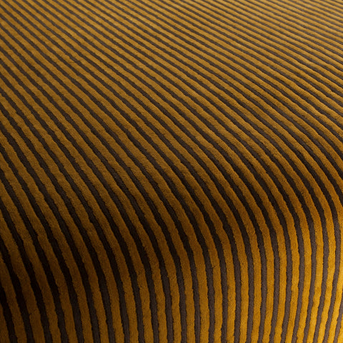 Chivasso Days Of Wild Colour 11