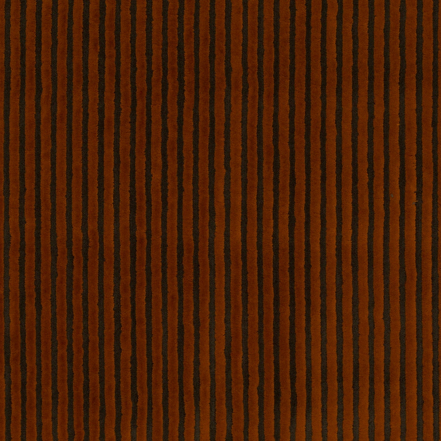 Chivasso Days Of Wild Colour 8