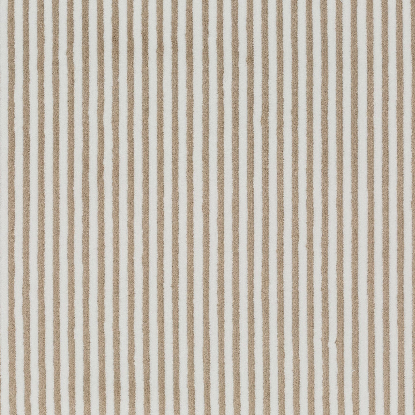 Chivasso Days Of Wild Colour 1