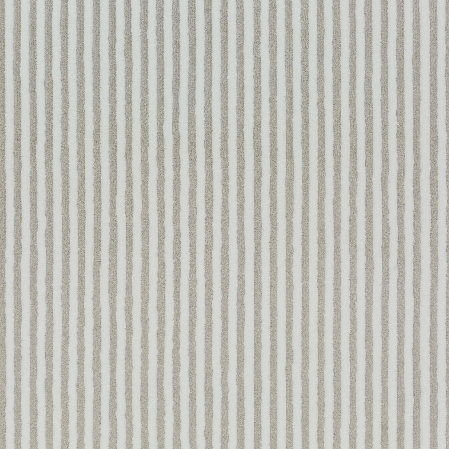 Chivasso Days Of Wild Colour 2