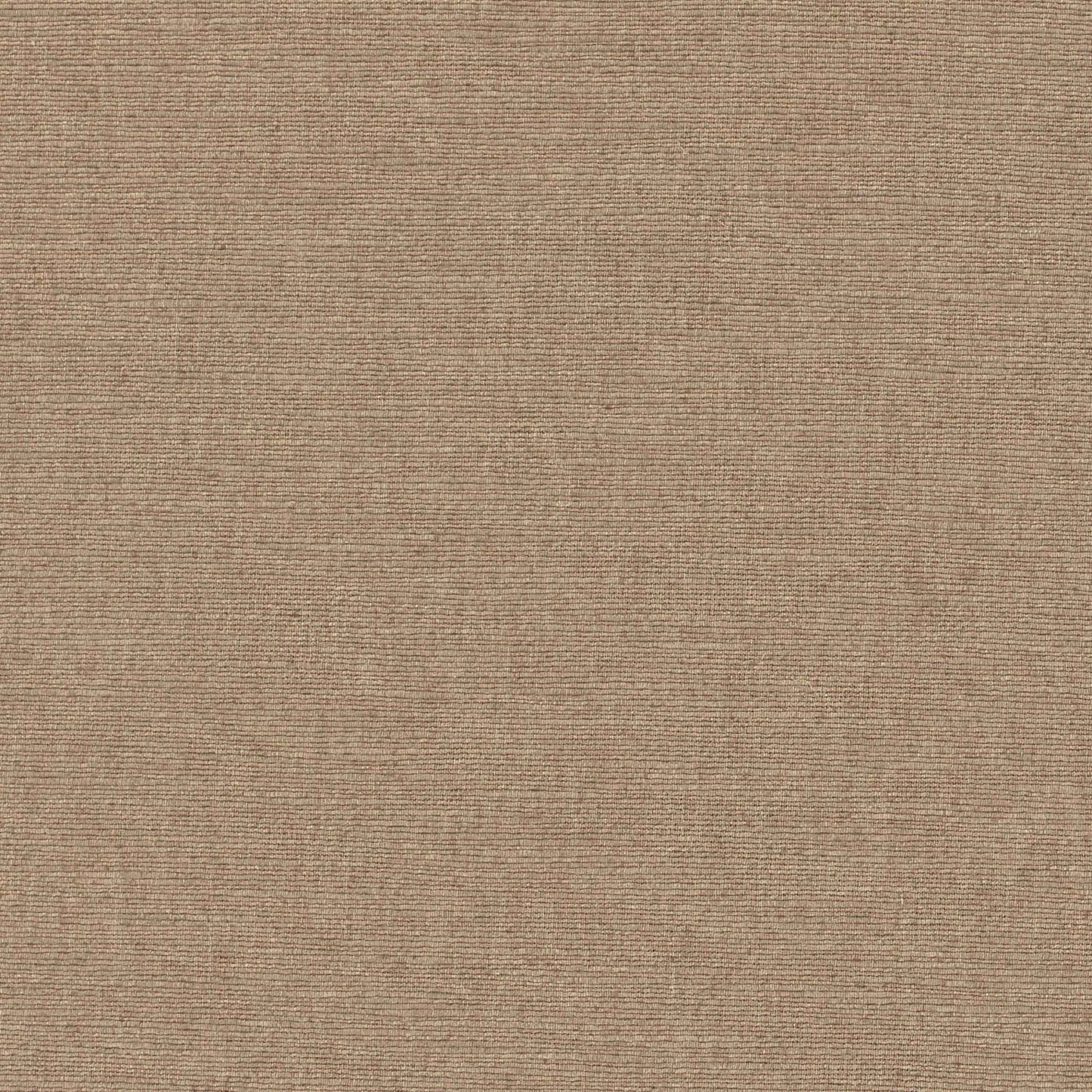 Warwick Cambridge Biscuit