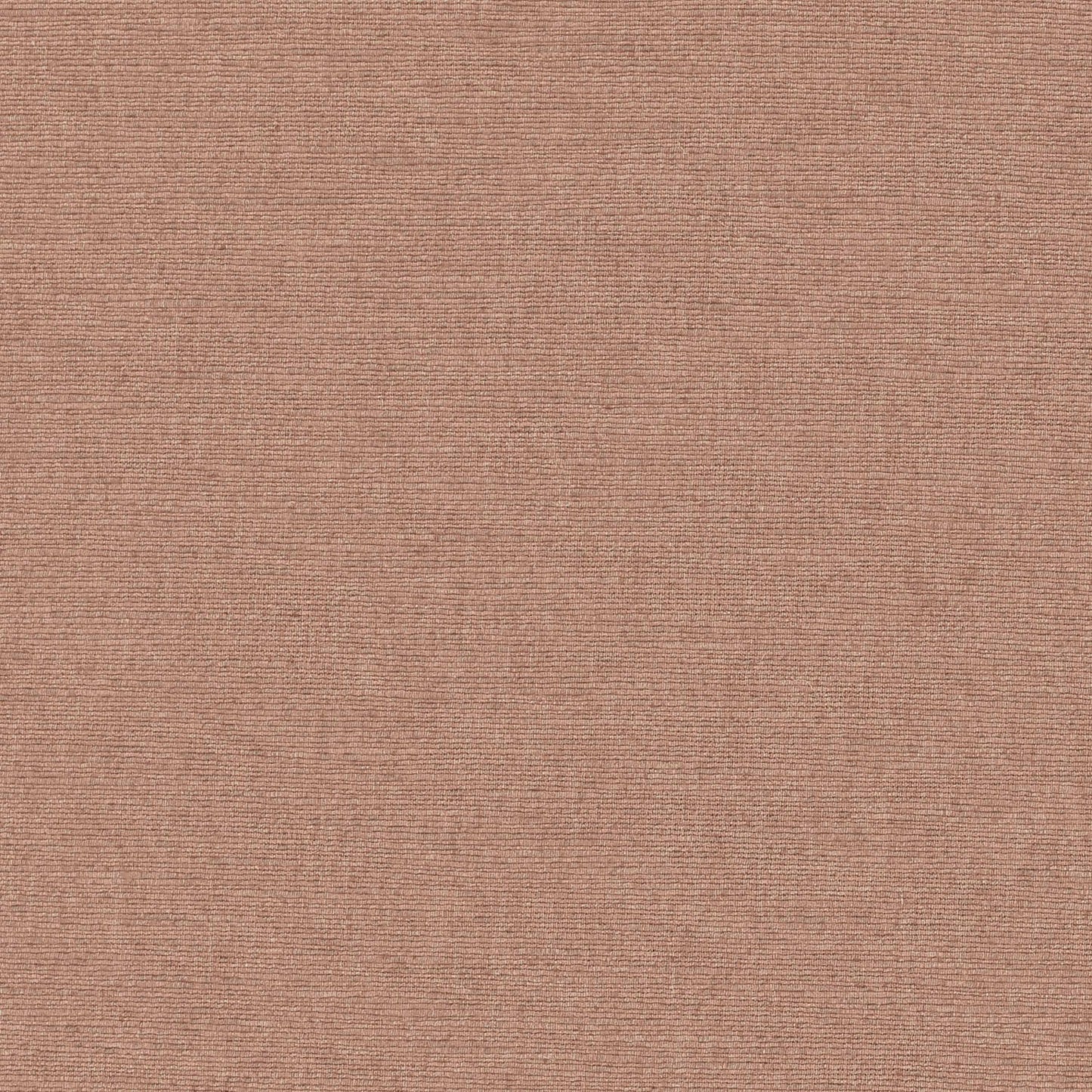 Warwick Cambridge Blossom