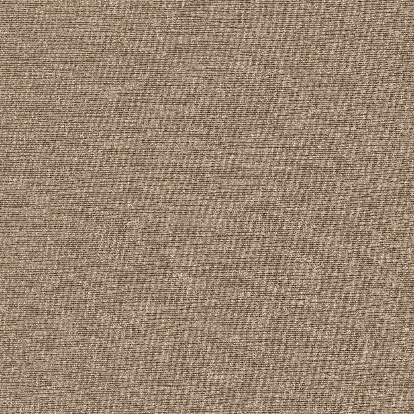 Warwick Cambridge Elder