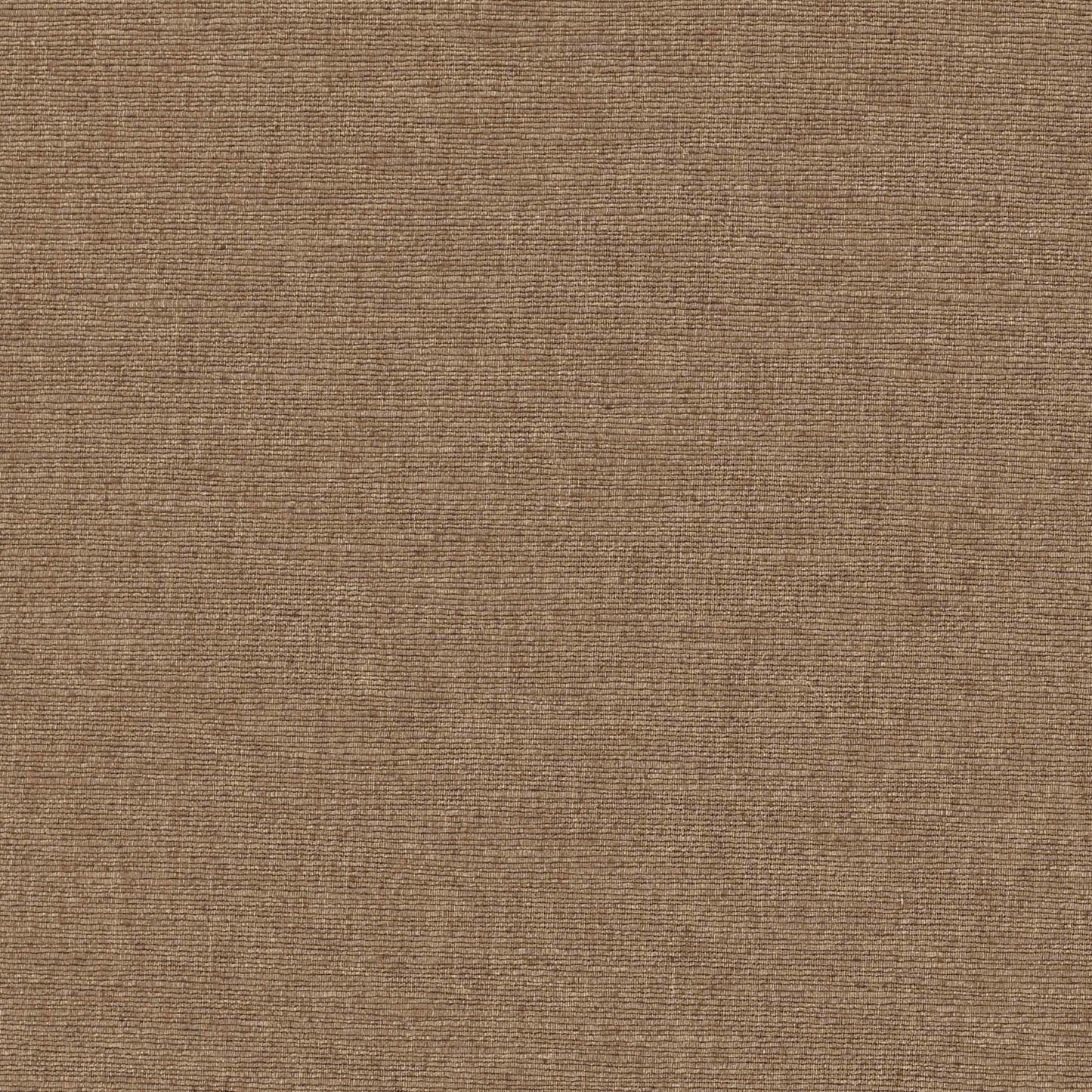 Warwick Cambridge Nutmeg