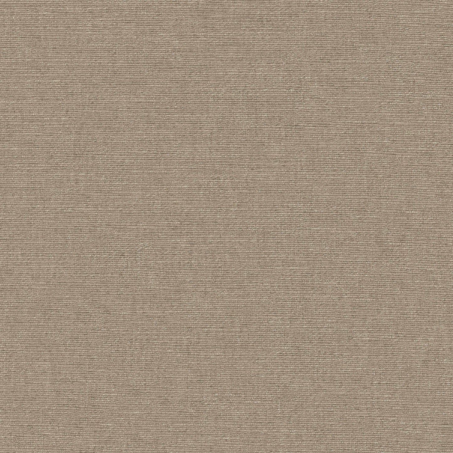 Warwick Cambridge Obscura