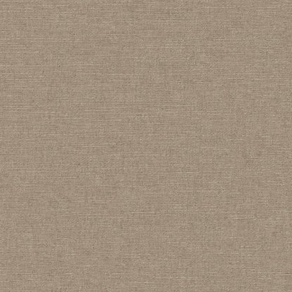 Warwick Cambridge Obscura