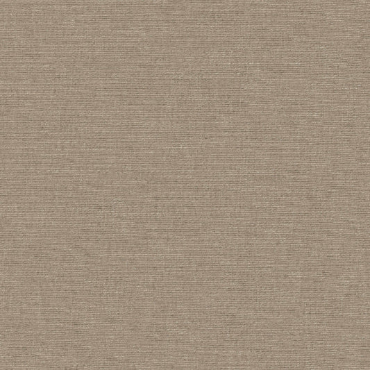 Warwick Cambridge Obscura